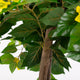Artificial Yellow Bougainvillea Plant - Closer2Nature
