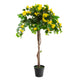 Artificial Yellow Bougainvillea Plant - Closer2Nature