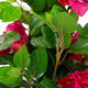 Artificial Magenta Bougainvillea Plant Closer2Nature