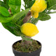 Artificial Mini Lemon Tree Closer2Nature