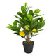 Artificial Mini Lemon Tree Closer2Nature