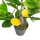 Artificial Mini Lemon Tree Closer2Nature