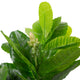Artificial Mini Lemon Tree Closer2Nature