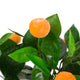 Artificial Mini Orange Tree Closer2Nature