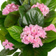 Artificial Pink Hydrangea Tree Closer2Nature