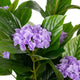 Artificial Purple Hydrangea Tree Closer2Nature