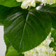 Artificial White Hydrangea Tree Closer2Nature