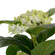Artificial White Hydrangea Tree Closer2Nature