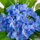 Artificial Blue Hydrangea Tree Closer2Nature