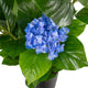 Artificial Blue Hydrangea Tree Closer2Nature