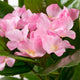 Artificial Pink Hydrangea Tree Closer2Nature