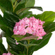 Artificial Pink Hydrangea Tree Closer2Nature