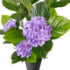 Artificial Purple Hydrangea Tree Closer2Nature