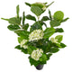 Artificial White Hydrangea Tree Closer2Nature