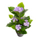 Artificial Light Purple Hydrangea Tree Closer2Nature