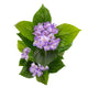 Artificial Light Purple Hydrangea Tree Closer2Nature