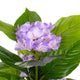 Artificial Light Purple Hydrangea Tree Closer2Nature
