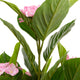 Artificial Pink Hydrangea Tree Closer2Nature