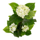 Artificial White Hydrangea Tree - Closer2Nature