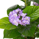 Artificial Light Purple Hydrangea Tree Closer2Nature