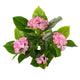 Artificial Pink Hydrangea Tree Closer2Nature