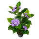 Artificial Purple Hydrangea Tree Closer2Nature