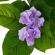 Artificial Purple Hydrangea Tree Closer2Nature