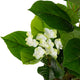 Artificial White Hydrangea Tree Closer2Nature