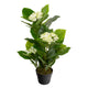 Artificial White Hydrangea Tree Closer2Nature
