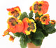 Artificial 30cm Orange Pansy Plug Plant - Closer2Nature