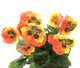 Artificial 30cm Orange Pansy Plug Plant - Closer2Nature