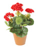 Artificial 24cm Red Zonal Geranium Plug Plant - Closer2Nature
