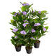 Artificial Light Purple Hydrangea Tree Closer2Nature