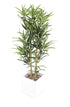 Artificial 3ft Golden Bamboo