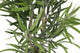 Artificial 3ft Golden Bamboo - Closer2Nature