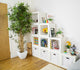 Artificial 6ft Golden Bamboo Tree Closer2Nature