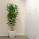 Artificial 4ft Golden Bamboo Tree Closer2Nature