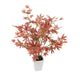 Artificial 1ft 7" Red Japanese Maple Tree - Closer2Nature