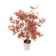 Artificial 1ft 7" Red Japanese Maple Tree - Closer2Nature