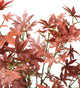 Artificial 1ft 7" Red Japanese Maple Tree - Closer2Nature