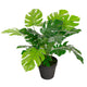 Artificial 1ft 5" Swiss Cheese Plant Closer2Nature