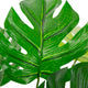 Artificial 1ft 5" Swiss Cheese Plant Closer2Nature