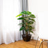Artificial 4ft Pothos Plant