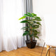 Artificial 4ft Pothos Plant - Closer2Nature