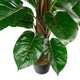 Artificial 4ft Pothos Plant Closer2Nature