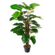 Artificial 4ft Pothos Plant Closer2Nature