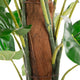 Artificial 4ft Pothos Plant Closer2Nature