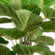Artificial 4ft Pothos Plant Closer2Nature