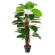 Artificial 4ft Pothos Plant Closer2Nature