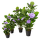 Artificial Purple Hydrangea Tree Closer2Nature